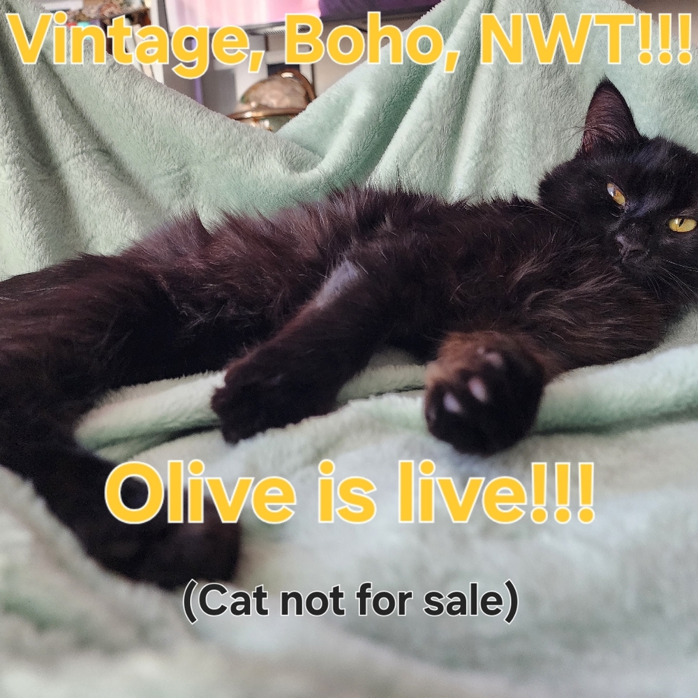 @Oliveseeds Is LIVE